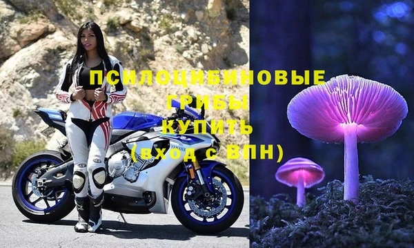 PSILOCYBIN Алексин